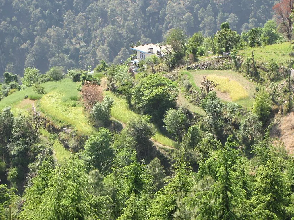 Hotel Shimla Nature Ville